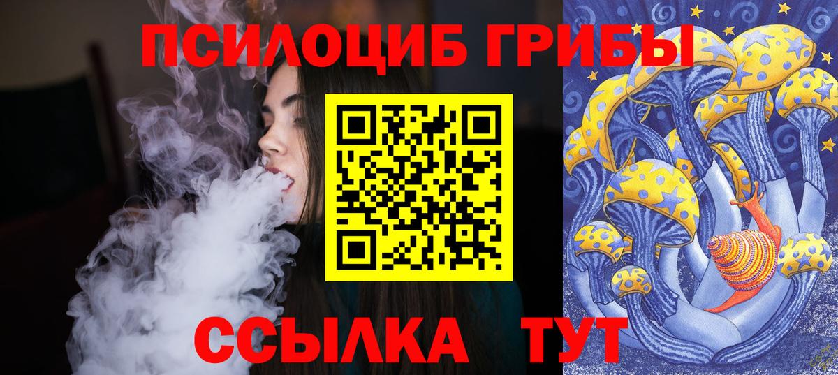 Шарыпово  Галлюциногенные грибы Psilocybine cubensis  Псилоцибиновые грибы мухоморы  Вход с VPN 