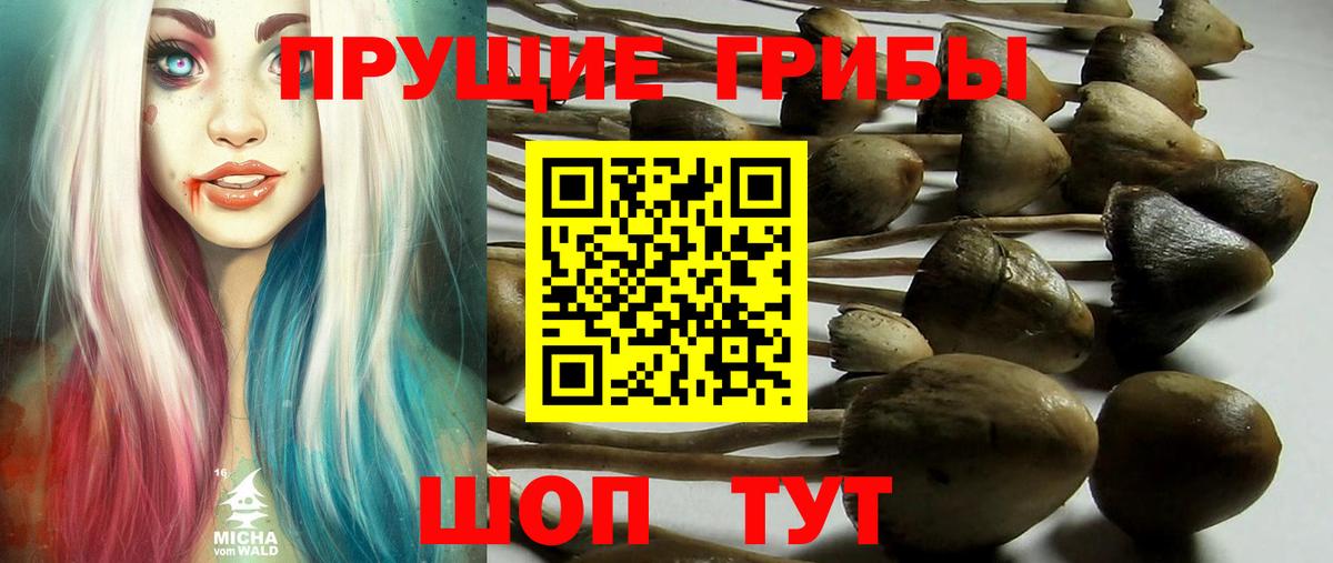 Псилоцибиновые грибы MAGIC MUSHROOMS Шарыпово